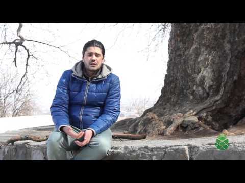 ტორესა თელავის ტურისტულ პოტენციალზე