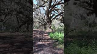 Proposals for Florida’s state parks draw criticism #news #desantis #florida #stateparks