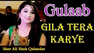 Gila Tera Kariye Asi Mar Na Jaiye Singer #Gulaab || Darbar Sher Ali Shah Qalandar (R.A)