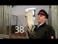 Führung durch das Lipizzanergestüt Piber - EQWOtv