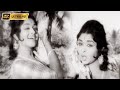 தேனோடும் தண்ணீரின் மீது பாடல் | Thenodum Thanneren Meedhu song | P.Susheela | Saroja devi old song .