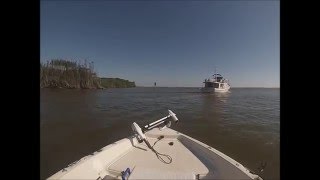 Boating with Manatees