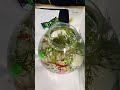 acqurium