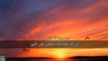 من سورة الاحزاب بصوت حسام الدين عبادي |  ارح قلبك وسمعك واعتزل الدنيا قليلا 🎧💚