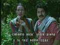 الشاعر حسين حمزة داب التلج وبان المرج MIX 