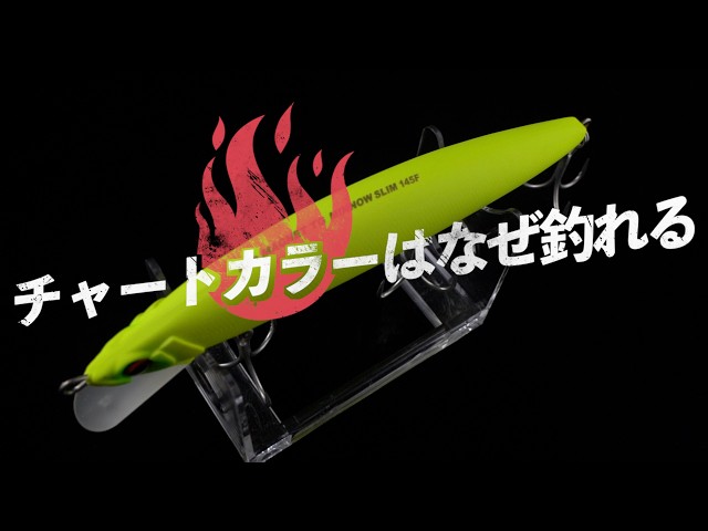 So flashy that it actually catches fish!? We explain the secrets