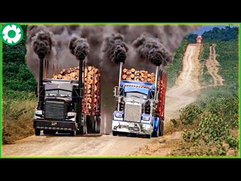 Dangerous Fast Skill Tree Felling With Chainsaw, Logging Wood Truck Operator & Wood Heavy Machinery