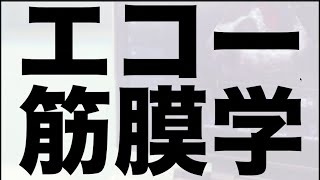 【新セミナー】エコー筋膜学セミナーの楽しさを長々と語ってみました、、、