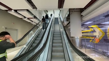 GNM Video: How To Catch A Direct HK Airport - Macau Bus