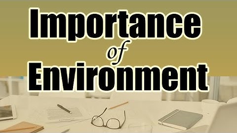 How Environment Affects Your Productivity | How To Create a Productive Working Environment
