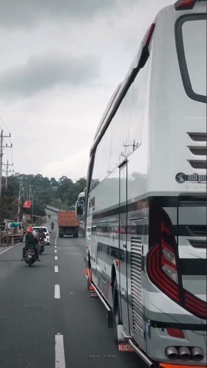 Story'wa Bus Pariwisata Tunggal Jaya KIDS PANDA