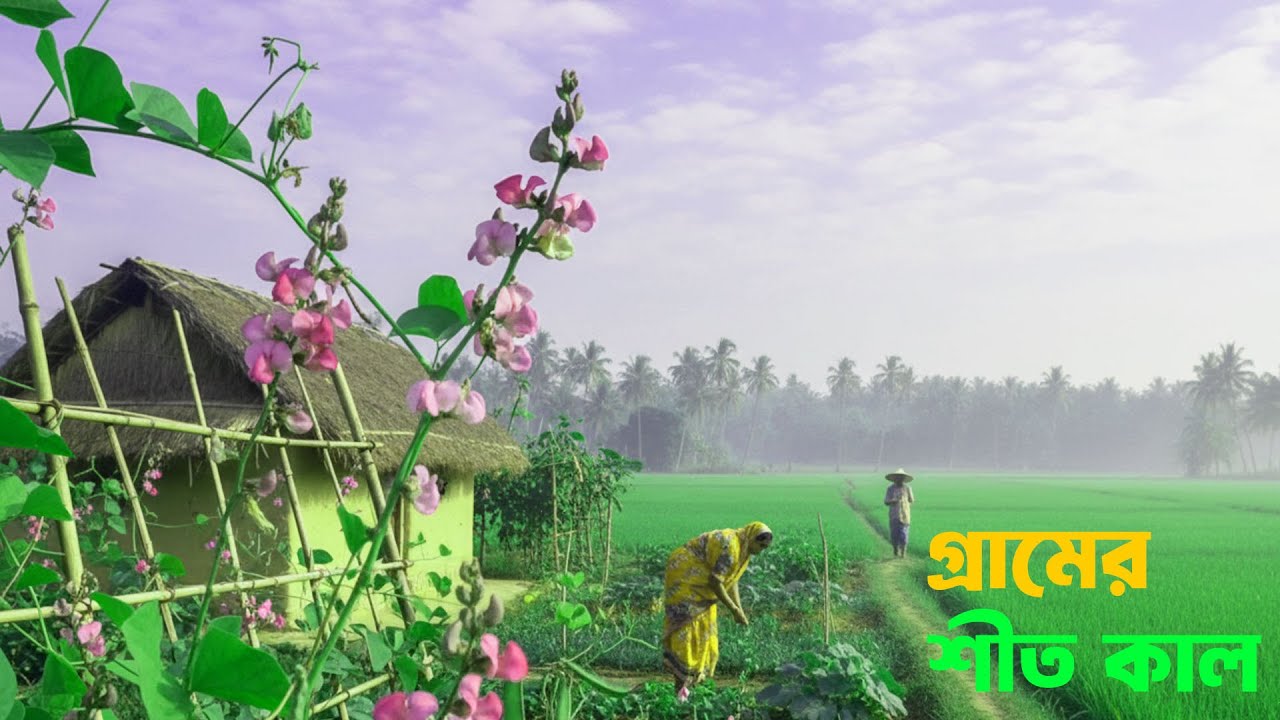 গ্রাম বাংলার প্রকৃতি ও শীতের সকালের দৃশ্য | Natural With Jubayer