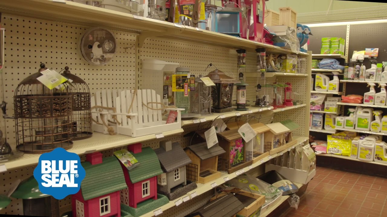 Wild Bird Seed Store