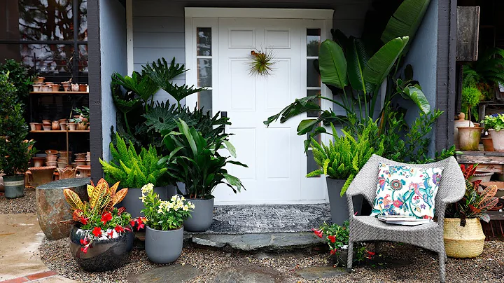 How to Create Four Stylish Gardens with Suzanne & ...