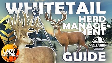 How to EASILY Spawn Your WHITETAIL GREAT ONE Using HERD MANAGEMENT!