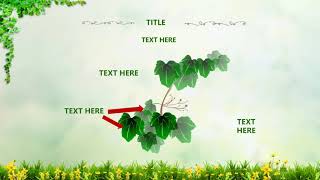 Biology Template | Free powerpoint template for Education Biology Template | Free powerpoint template for Education
