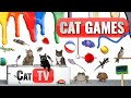 Jeux de chat  compilation ultime de cat tv vol 46  2 heures 