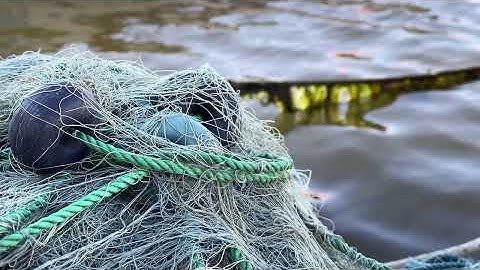 Mermaid Caught in Fishing Net: Real or Fake? | Reality of Mermaid Caught on Camera Viral Clips!