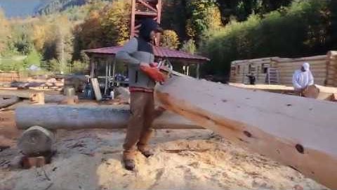 Timber Tuesday Matt logs