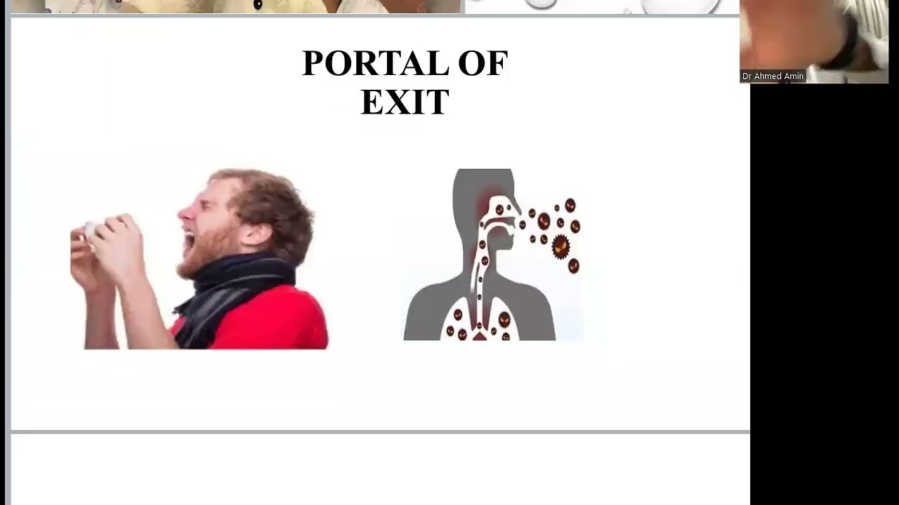 5- Infection in PICU from gloom to doom DR Ahmed Amin (Egypt)   #EupPicuWheel   4th session