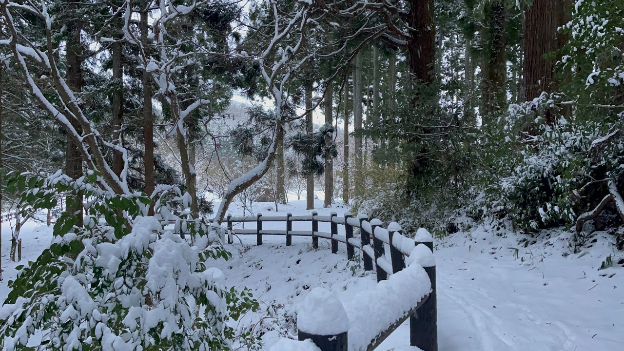 [4K] Wondering around the forest in heavy snow || waterfall | japan countryside