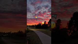 🤍🤍🌅 @SaraLuvvs  #bsf #4lifers