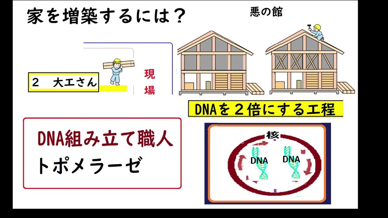 大腸がんの抗がん剤と漢方1 改良版（古典的抗がん剤）TS1 F5U ゼローダ UFT ロンサーフ使用時の漢方を薬物を理解し考察！