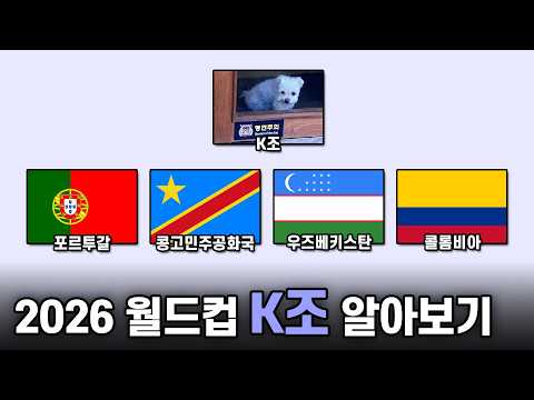 신두형 라스트 댄스 가주앙 ㅋㅋ // 2026 북중미 월드컵 K조 총정리