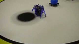 Robomotic inch worm looks for food