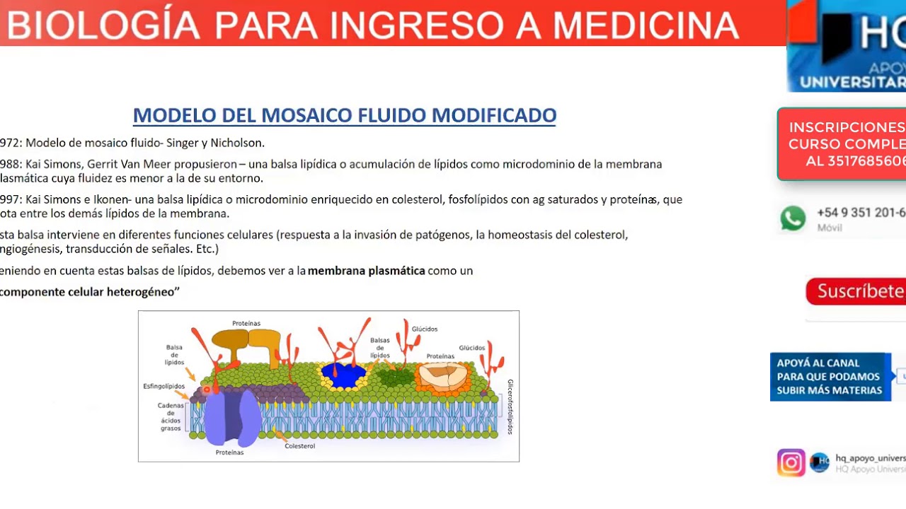 UNIDAD 03 - Modelo del mosaico fluido modificado - BIOLOGIA PARA INGRESO A  MEDICINA UNC - YouTube