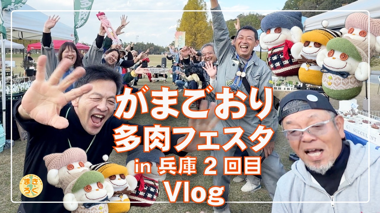 がまごおり多肉フェスタin兵庫2回目｜1日まるごと体感Vlog🎥