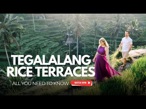 Tegalalang Rice Terraces: Everything You Need to Know Before You Go!