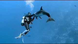 diving Tuamotu (North Fakarava & Rangiroa) - French Polynesia
