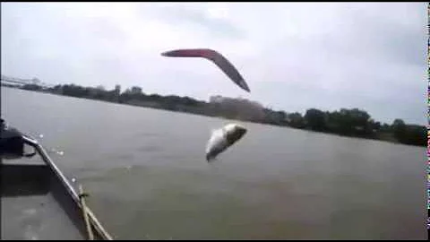 Men At Work - Down Under (Official music video)