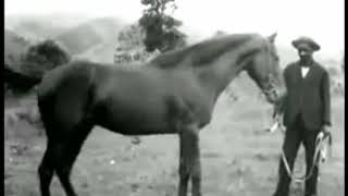 Buenópolis Anos 20 Hd Tela Cheia