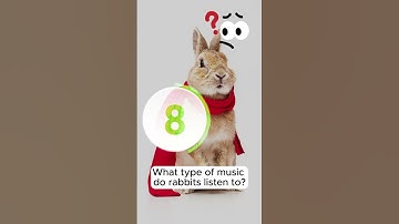 Animal puzzle: What do you call a bear...Riddle 85 #challenge #quiz