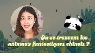 Où se trouvent les animaux incroyables chinois ? - Le panda géant