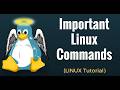 🐧 Important Linux File &amp; Directory Commands in Telugu (తెలుగులో) | Linux Basics