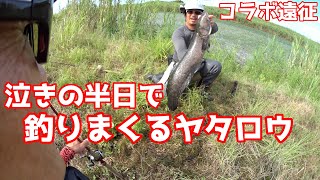 暑中雷魚釣りコラボ遠征5日目 ヤタロウの最終日有終の美 448 虫くん釣りch Youtube 暑中雷魚釣りコラボ遠征5日目 ヤタロウの最終日有終の美 448 虫くん釣りch Youtube