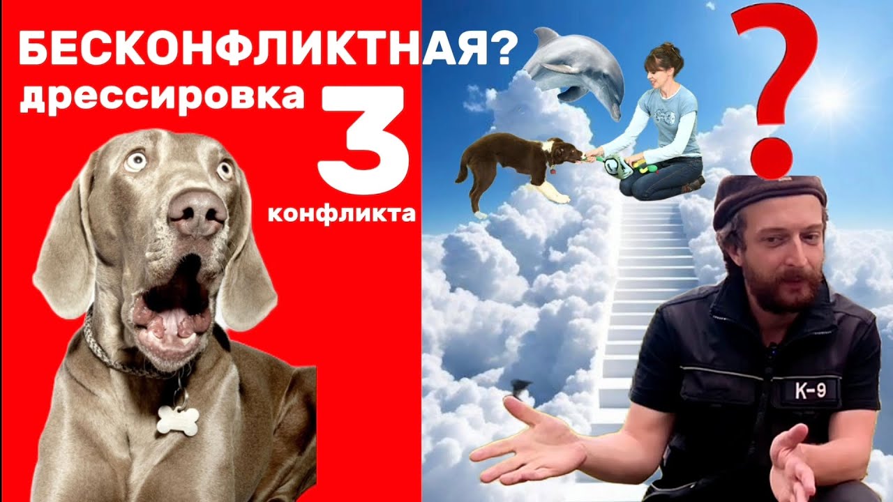 Обратная сторона гуманной, позитивной дрессировки | The truth about positive dog training