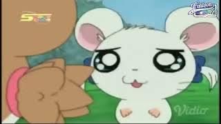 HAMTARO | Episode 02 | Kencan Kerlip