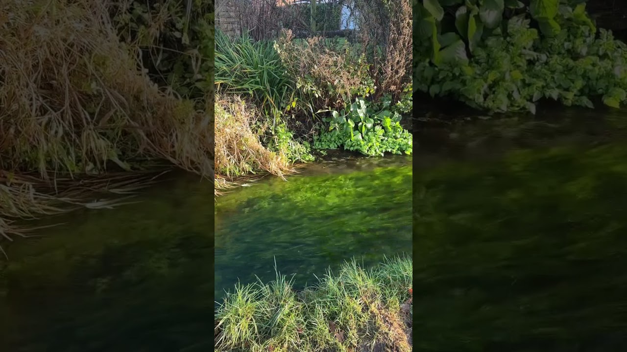 Chalk stream goodness 