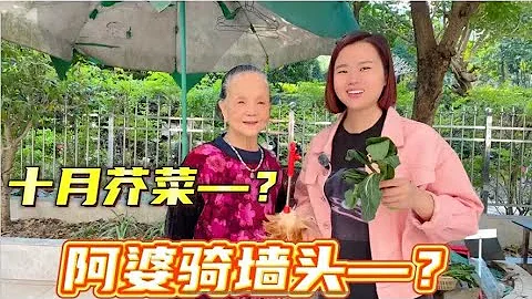 十月芥菜、阿婆騎牆頭、半夜食黃瓜、？廣東廣西42句歇後語 - 天天要聞