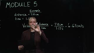 Module 5 Lab Assignment Tutorial