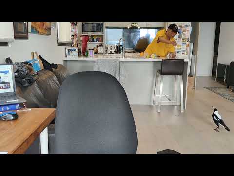 صباح الفل ياسوسو ياحنين