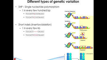 Next Generation Sequencing-L08-DNAseq 1-Concepts-Liu