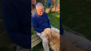 The Oldest Dog In The Shelter Just PICKED His Person 🥹