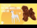 Starzclub Model Dog putting the coat on | TRANSGROOM