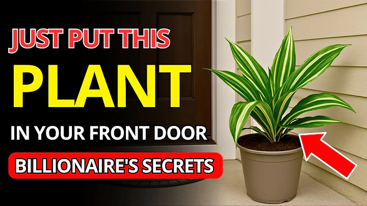 Billionaires Always Plant These 3 Lucky Trees in Front of Their Houses - Do You? | Buddha's Odyssey