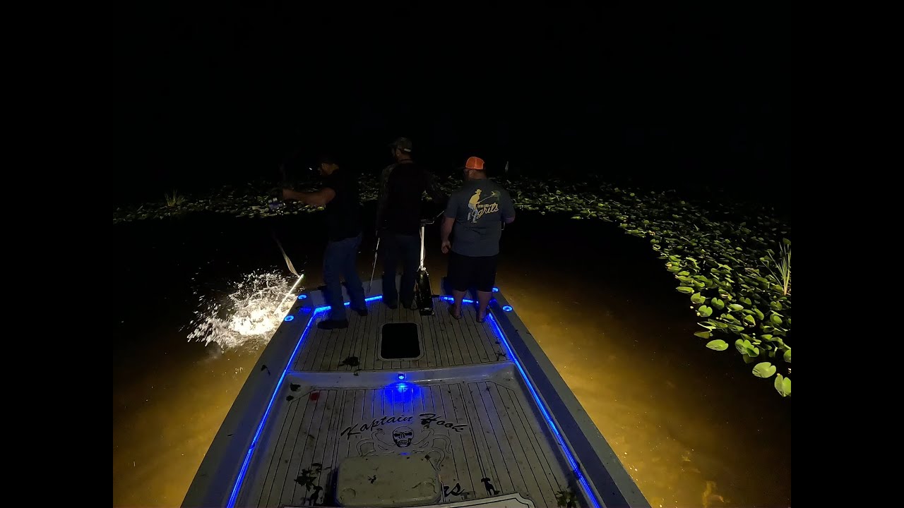 Bowfishing Florida Tilapia Roundup! YouTube